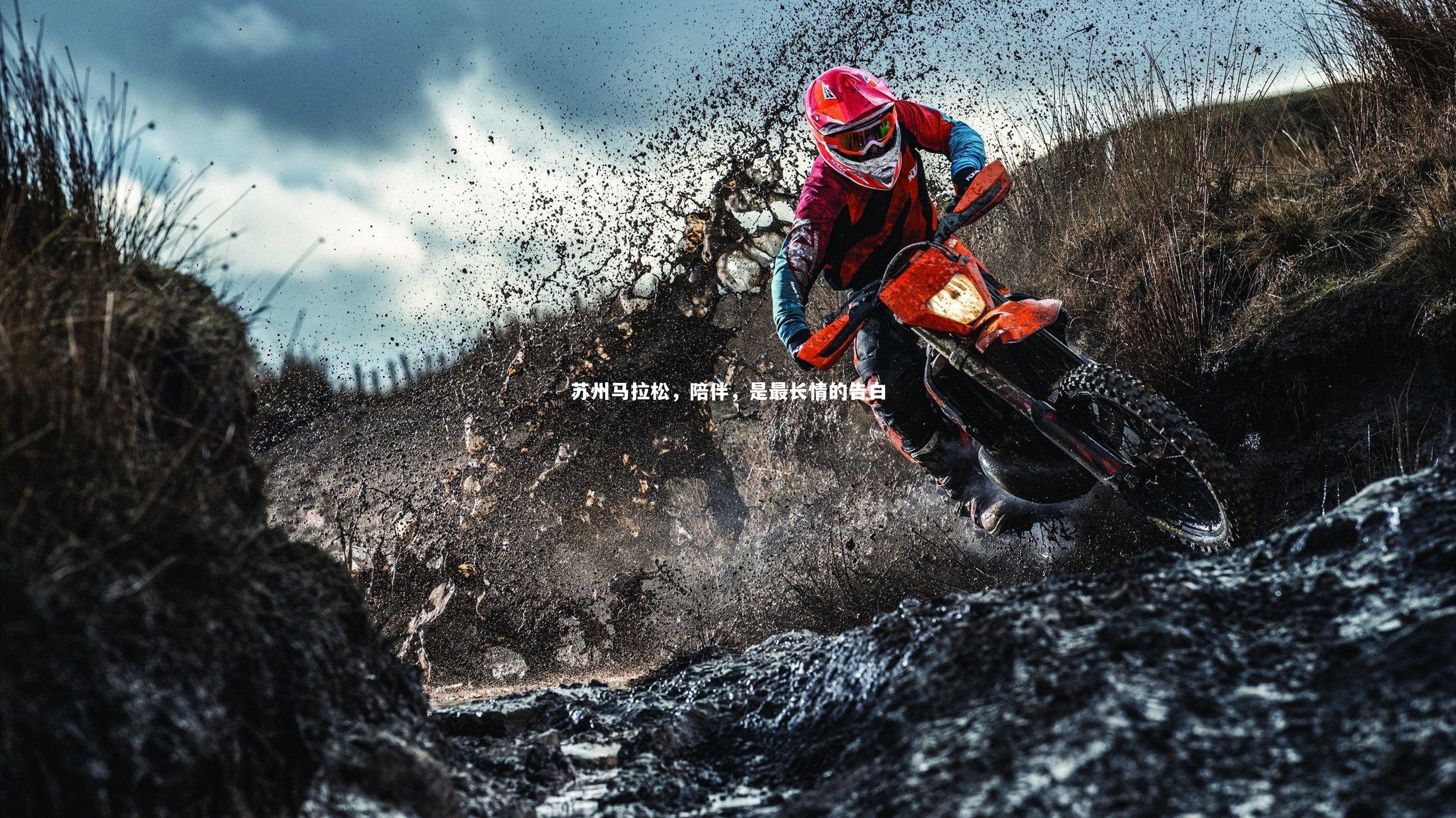 苏州马拉松，陪伴，是最长情的告白