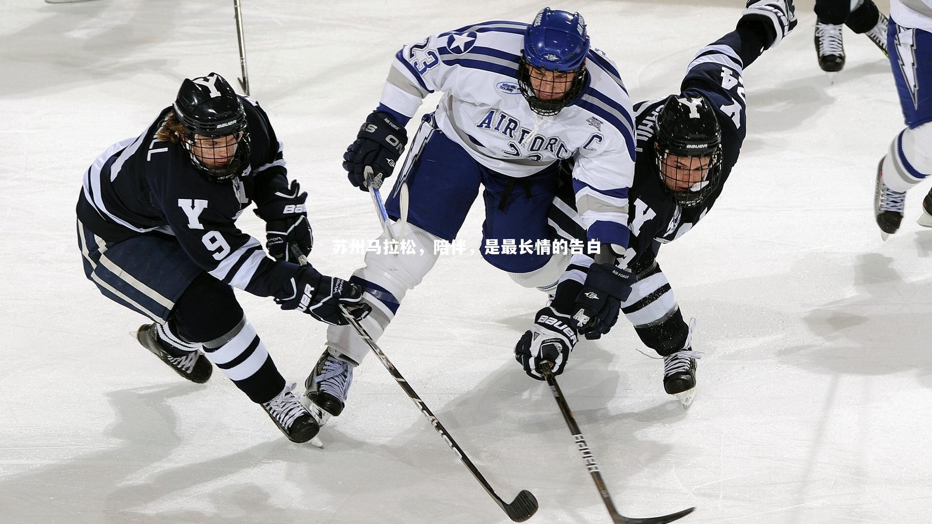 苏州马拉松，陪伴，是最长情的告白